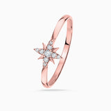Sortija Rosa de los Vientos en Oro Rosa de 18 Kt