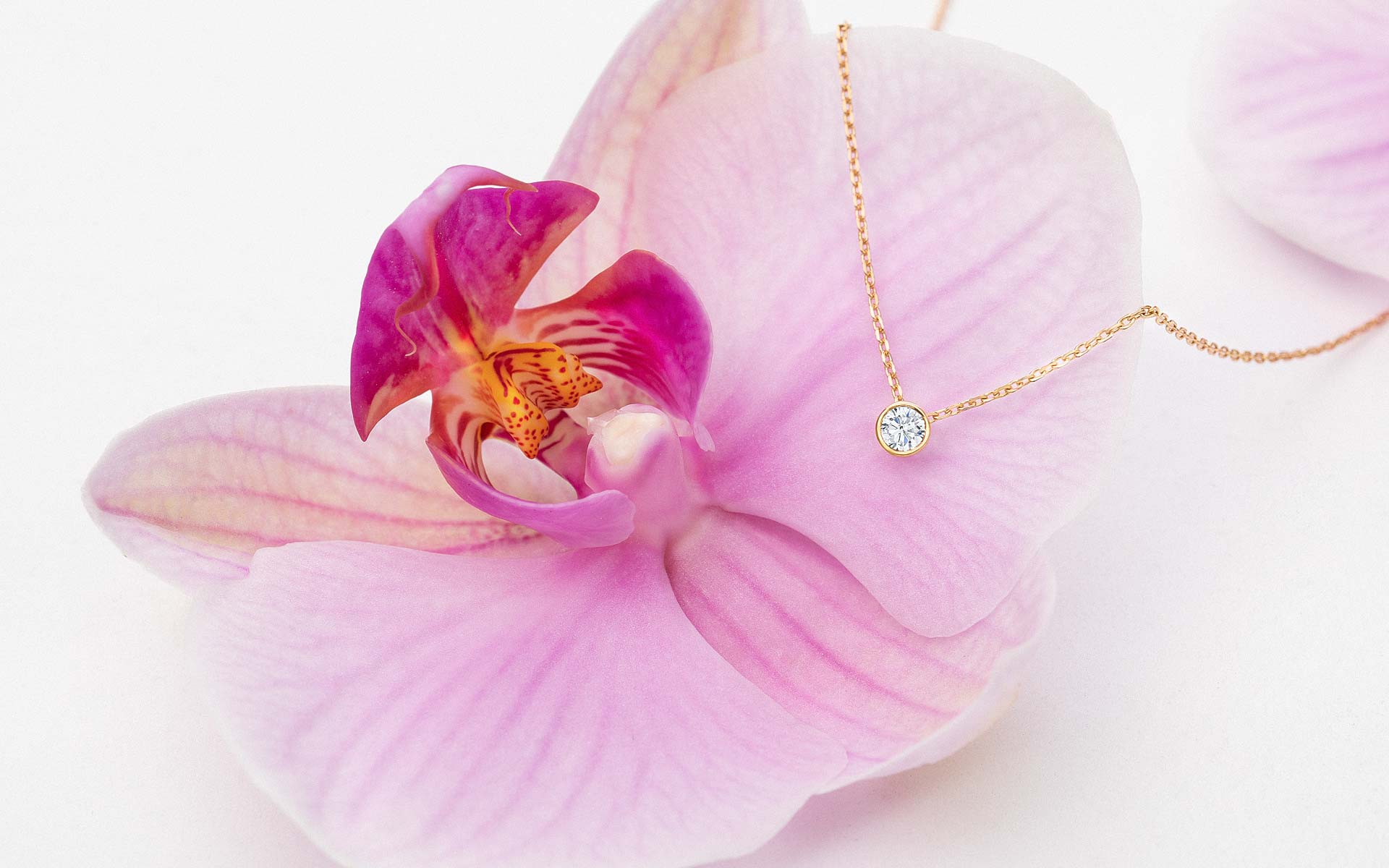 Diamante en talla brillante sobre orquídea