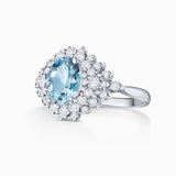 Blue Jay Aquamarine and Diamond Ring in 18k White Gold