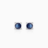 Eternity Colours Circle Sapphire Earrings in 18k White Gold