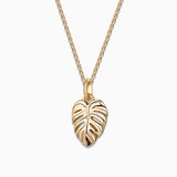 Charm Colgante Monstera S en Oro Amarillo de 18 Kt