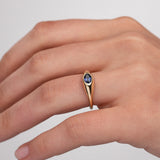 Amar Oval Sapphire Signet Ring in 18k Yellow Gold