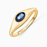Amar Oval Sapphire Signet Ring in 18k Yellow Gold