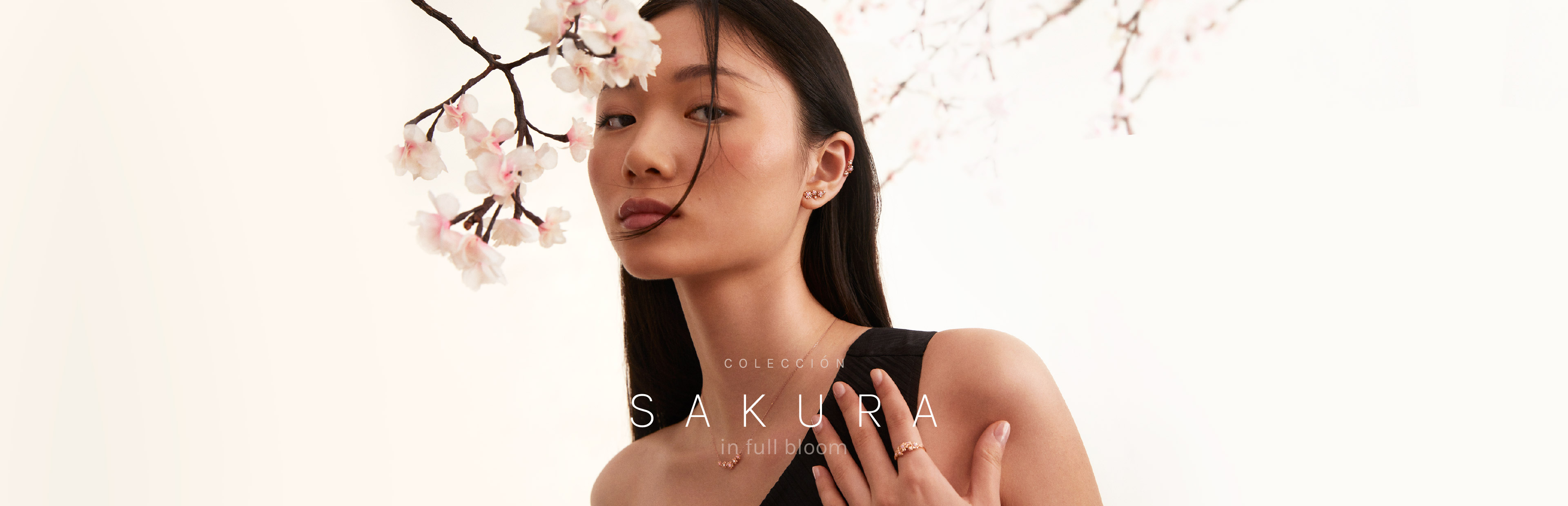 Colección Sakura